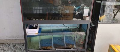 Hồ cá Kính Kim loại Đen 1m3x1m3. Mua bán Phụ kiện, Thức ăn, Dịch vụ tại Huyện Củ Chi Tp Hồ Chí Minh được đăng bởi Trí danh