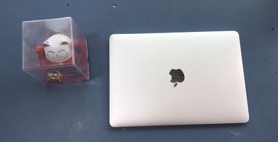 MacBook 12-inch 2016 Retina Ngon