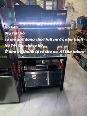 Hồ cá cảnh Hồ 845 Kính Trong suốt Full bộ. Mua bán Phụ kiện, Thức ăn, Dịch vụ tại Huyện Nhà Bè Tp Hồ Chí Minh được đăng bởi A Cường