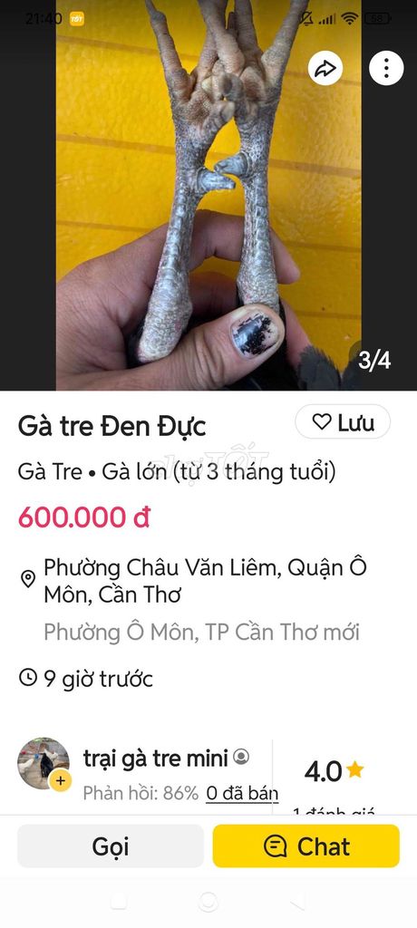 Gà tre đen đực 3 tháng tuổi. Mua bán Gà tại Quận Ô Môn Cần Thơ được đăng bởi ⇱ɲḩựƫᴴᶹˠᵑʱ⇲ hình 1