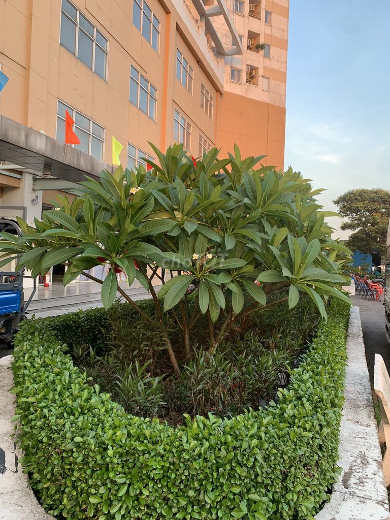 Căn hộ 75m2, 2pn giá 1.3 tỷ , Căn hộ Hoàng Quân , Tại Hóc môn