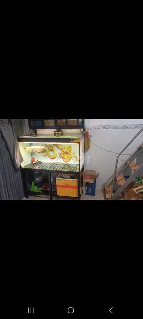 Hồ cá cảnh 1m2 kệ lọc tràn lọc đầu tàu. Mua bán Phụ kiện, Thức ăn, Dịch vụ tại Quận 5 Tp Hồ Chí Minh được đăng bởi Văn Tâm hình 1