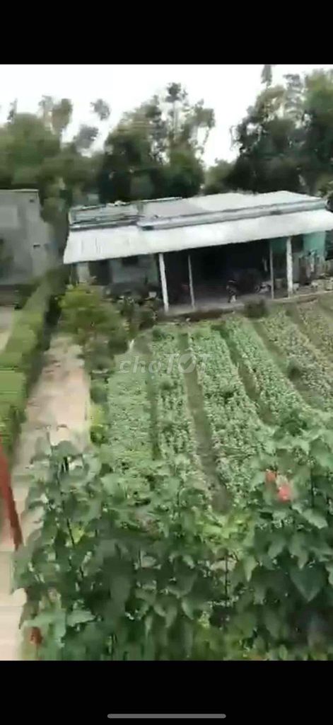 Do có nhu cầu chuyển đối nơi ở, gia đình cần bán căn nhà vị trí đẹp, t Do có nhu cầu chuyển đối nơi ở, gia đình cần bán căn nhà vị trí đẹp, t