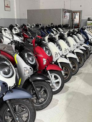 Scoopy 2025 mới 100%. Mua bán Xe máy tại Thành phố Buôn Ma Thuột Đắk Lắk được đăng bởi Ngô quốc Việt 