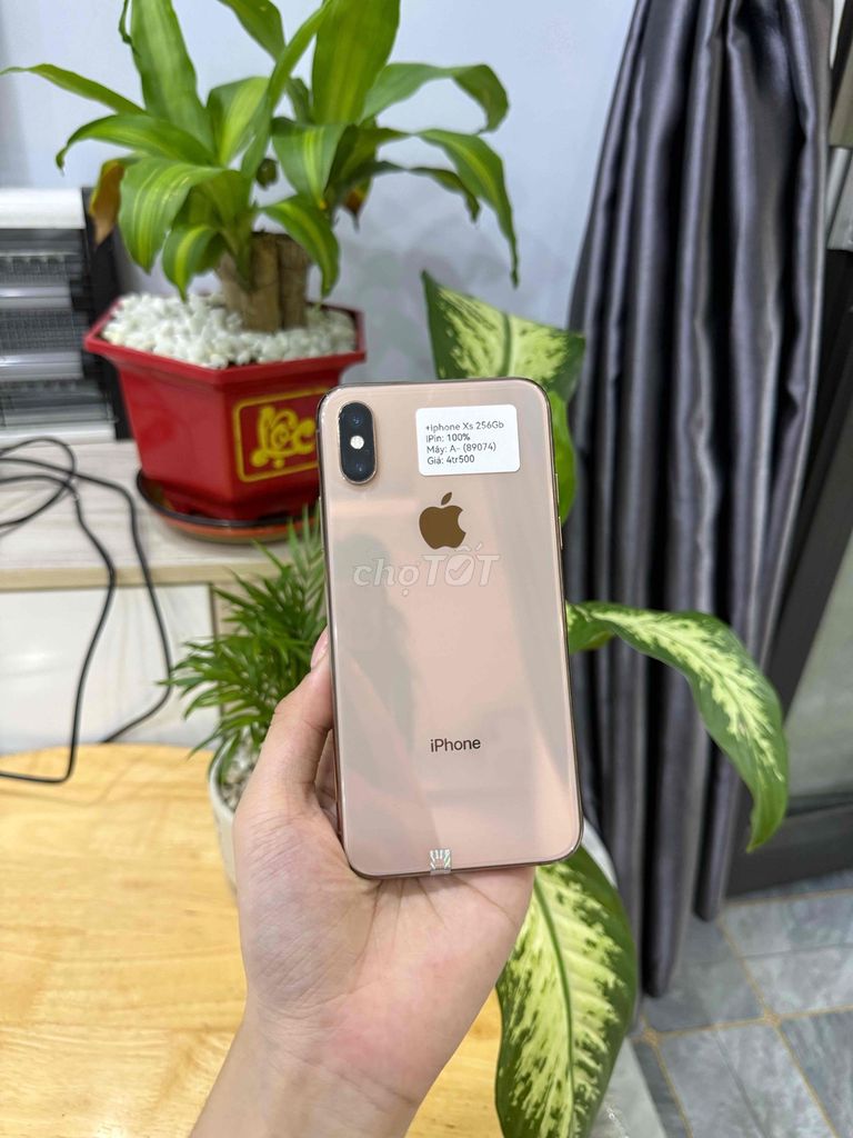Apple iPhone Xs 256GB Gold đẹp 99%. Mua bán Điện thoại tại Huyện Hóc Môn Tp Hồ Chí Minh được đăng bởi Luân Hoài hình 1