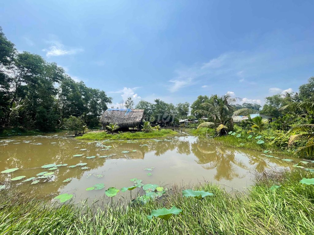 Nhà Vườn Nghỉ Dướng - Quán Ăn Sân vườn Nhơn Trạch. Mua bán đất tại Huyện Nhơn Trạch Đồng Nai được đăng bởi Đạt Lê hình 1