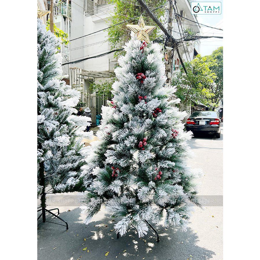 Thanh lý GẤP cây Noel TUYẾT cao 1m6 x 75cm 1 TRIỆU