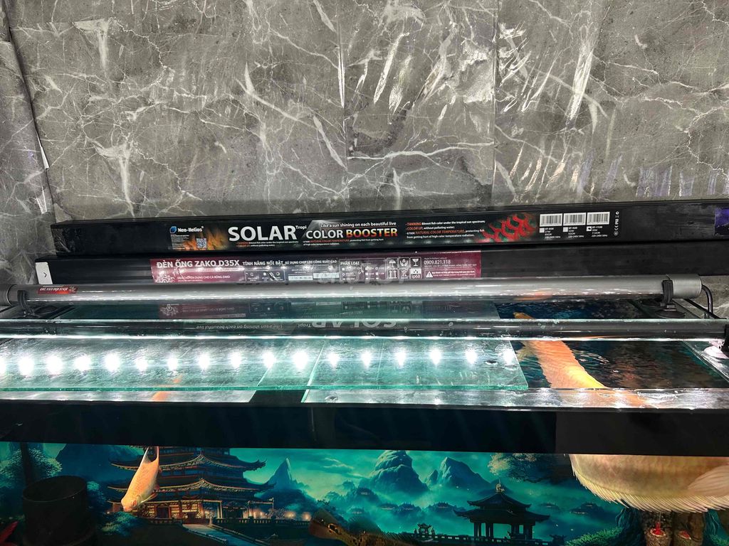 Đèn solar  112cm Đỏ cá. Mua bán Phụ kiện, Thức ăn, Dịch vụ tại Thành phố Vĩnh Long Vĩnh Long được đăng bởi Đỉnh Nguyễn hình 1