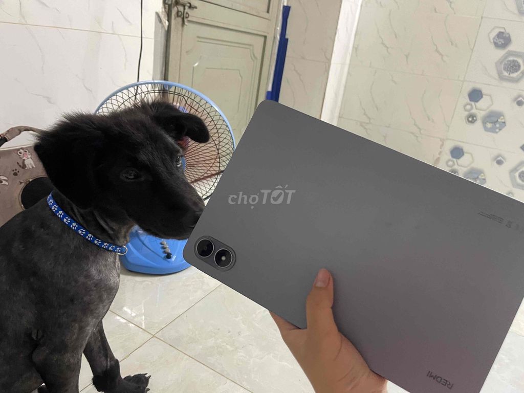 Xiaomi Redmi Pad 2 Pro Xám. Mua bán Máy tính bảng tại Quận Bình Tân Tp Hồ Chí Minh được đăng bởi Minh Thơ hình 1