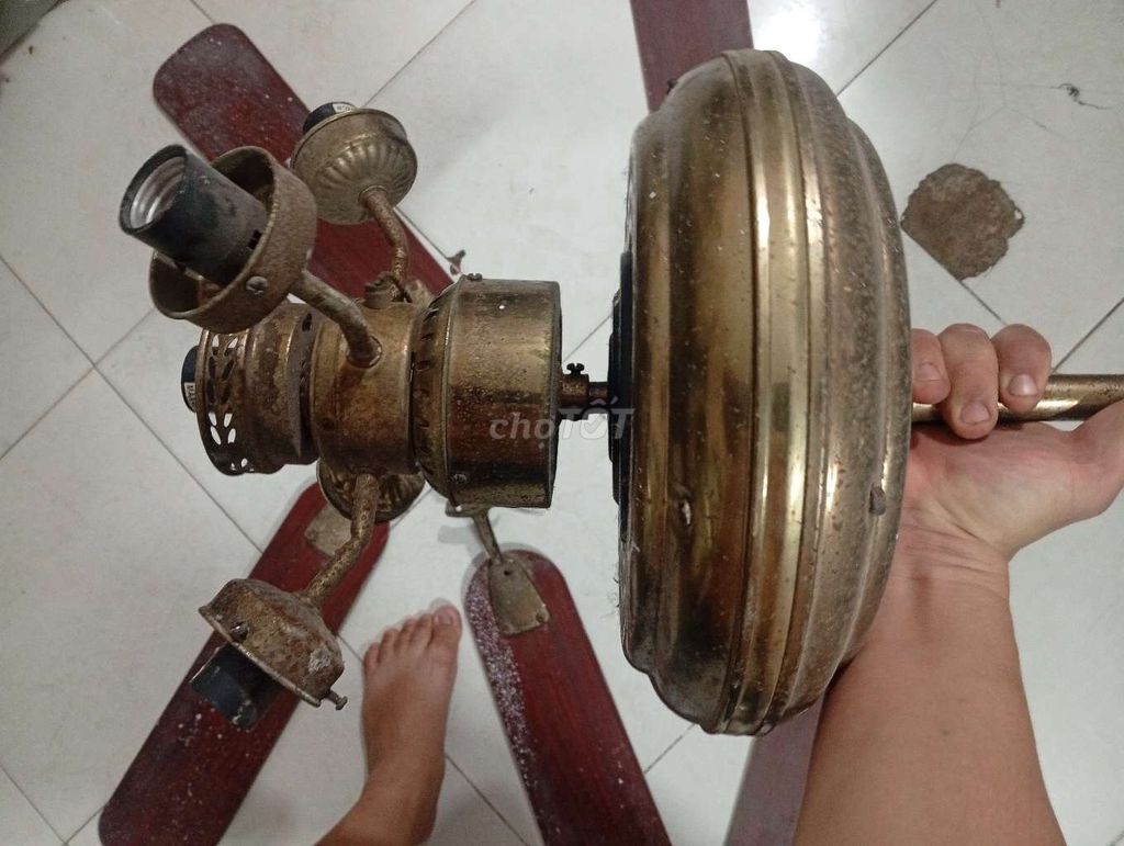 Quạt trần cánh gỗ cổ điển. Mua bán Quạt tại Quận 12 Tp Hồ Chí Minh được đăng bởi Ông chú đồ cổ hình 1