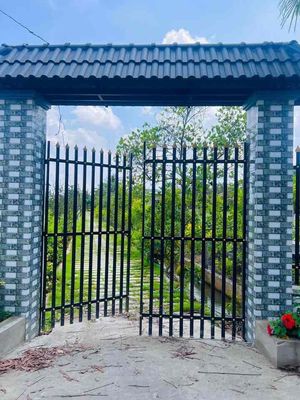Bán 5000 m2 nhà vườn xã bình lợi -bình chánh tphcm. Mua bán đất tại Huyện Bình Chánh Tp Hồ Chí Minh được đăng bởi Lê Thi Thu Hằng