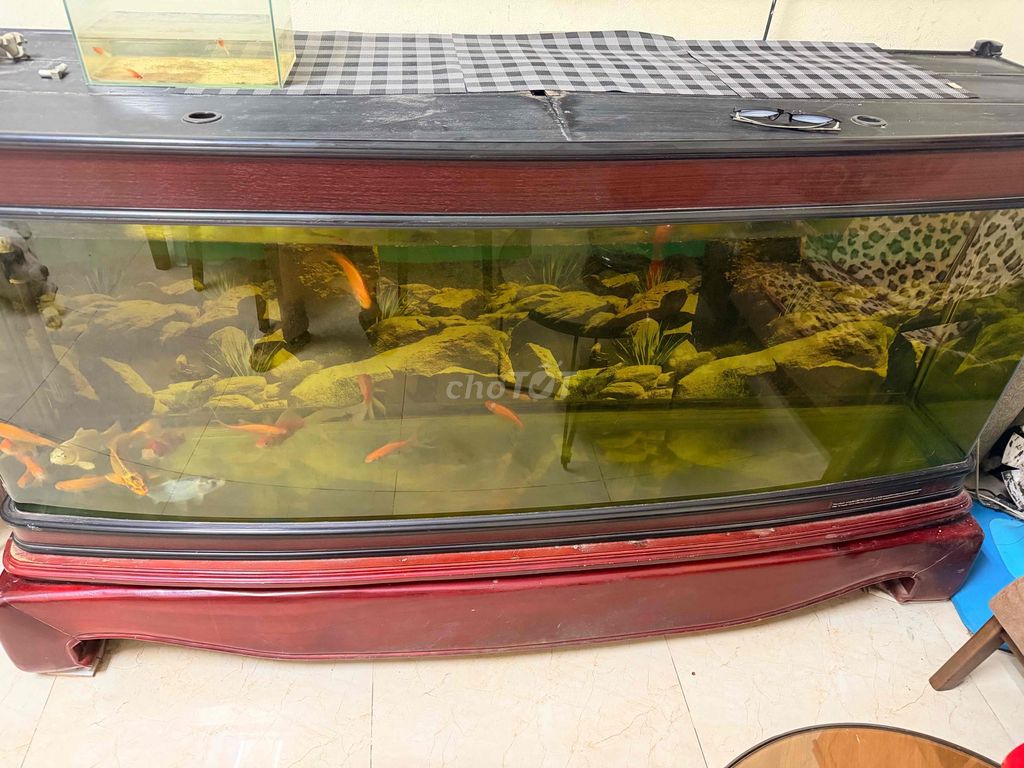 Bể cá cảnh 1m8x45cmx1m1. Mua bán Phụ kiện, Thức ăn, Dịch vụ tại Quận Ba Đình Hà Nội được đăng bởi ngọc hình 1