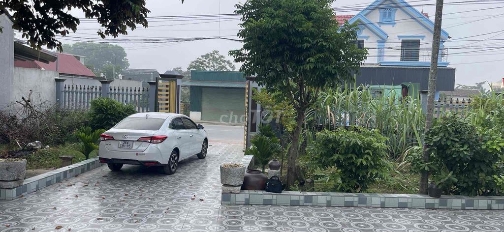 Ảnh số 7