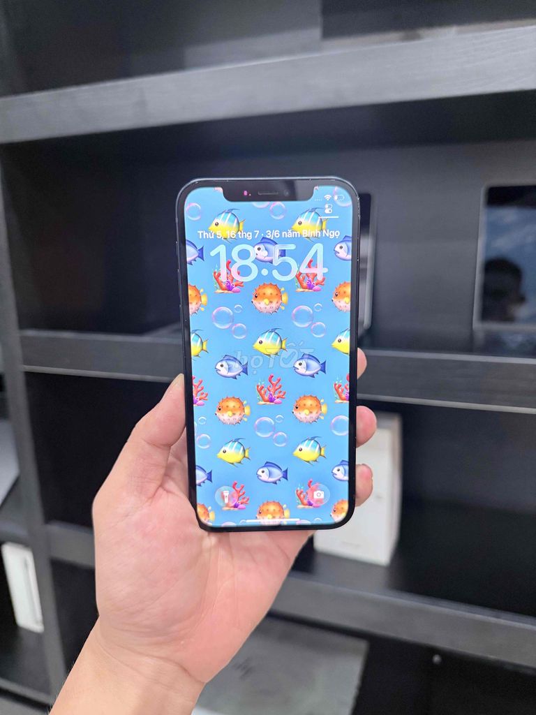 iPhone 12 QTE 64GB Like new 99% Zin nguyên cây. Mua bán Điện thoại tại Quận Đống Đa Hà Nội được đăng bởi Tùng Táo Hanoi Mobile hình 1