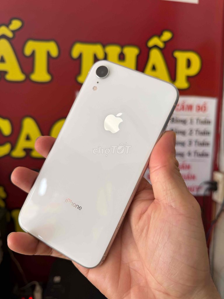 Apple iPhone XR 64GB Qtế.máy zin full chức năng ạ. Mua bán Điện thoại tại Quận Gò Vấp Tp Hồ Chí Minh được đăng bởi Thinh hình 1
