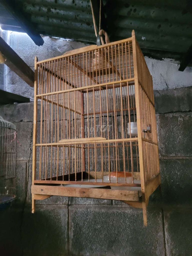 Lồng chim chào mào tre. Mua bán Phụ kiện, Thức ăn, Dịch vụ tại Quận Bình Thạnh Tp Hồ Chí Minh được đăng bởi Shop chim cảnh hình 1