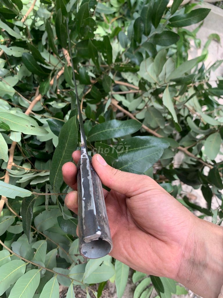 LIỀM NHÍP GIỰT CÀNH TRÊN CAO, CU LIÊM DỌN CÀNH CÂY. Mua bán Đồ chuyên dụng, Giống nuôi trồng tại Huyện Cam Lâm Khánh Hòa được đăng bởi LÒ RÈN CAM LÂM hình 4