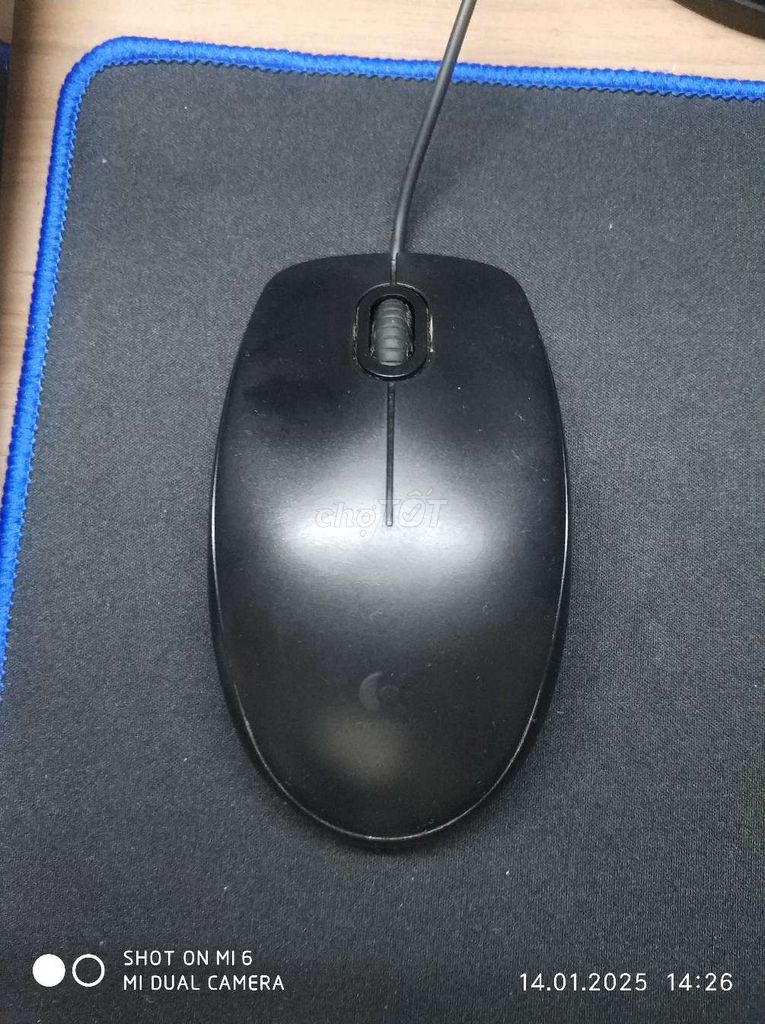 CHUỘT LOGITECH B100