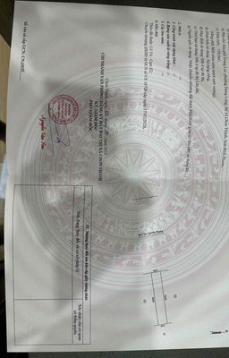 đất mặt tiền Nguyễn văn linh gần dự an cát tường Phú sinh. Mua bán đất tại Huyện Chơn Thành Bình Phước được đăng bởi nguyễn ngân