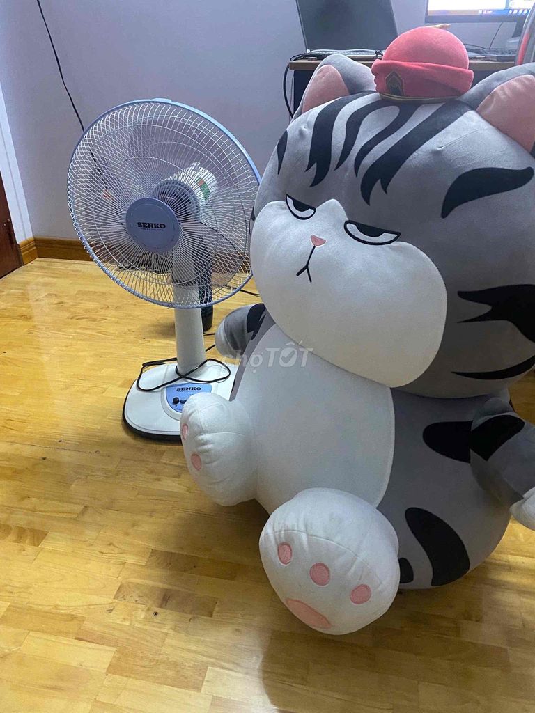 Mèo bông quàng thượng size to bự