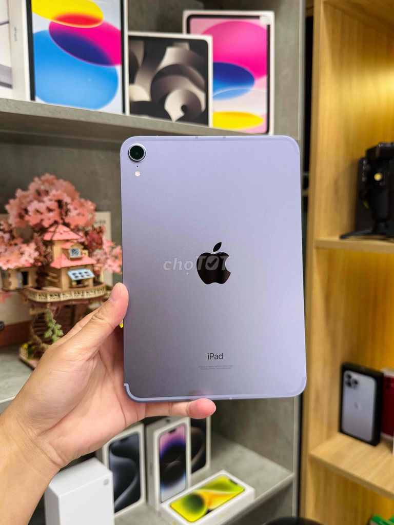 iPad Mini 6 256GB Tím Wifi 5G- Keng- Pin 96% ZA/A. Mua bán Máy tính bảng tại Thành phố Thủ Đức Tp Hồ Chí Minh được đăng bởi ChungStore2 hình 1