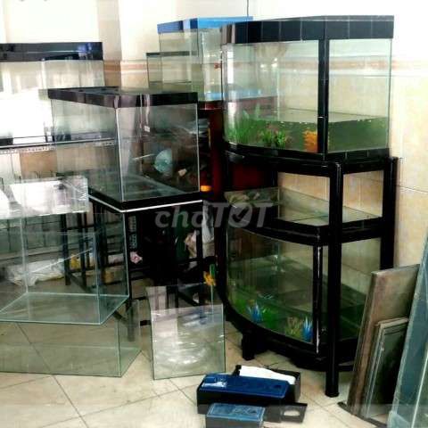 Bán Hồ cá. Mua bán Phụ kiện, Thức ăn, Dịch vụ tại Quận Tân Bình Tp Hồ Chí Minh được đăng bởi Linh hình 1