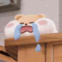 choá. Mua bán Chó tại Thành phố Long Xuyên An Giang được đăng bởi Bùi Hồng Đức