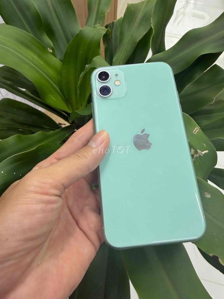 Apple iPhone 11 64GB Xanh lá zin all quốc tế. Mua bán Điện thoại tại Quận Ninh Kiều Cần Thơ được đăng bởi everest hình 1