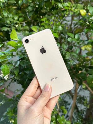 iPhone 8 Quốc tế 256GB Vàng. Mua bán Điện thoại tại Quận 10 Tp Hồ Chí Minh được đăng bởi Hoàng Quân