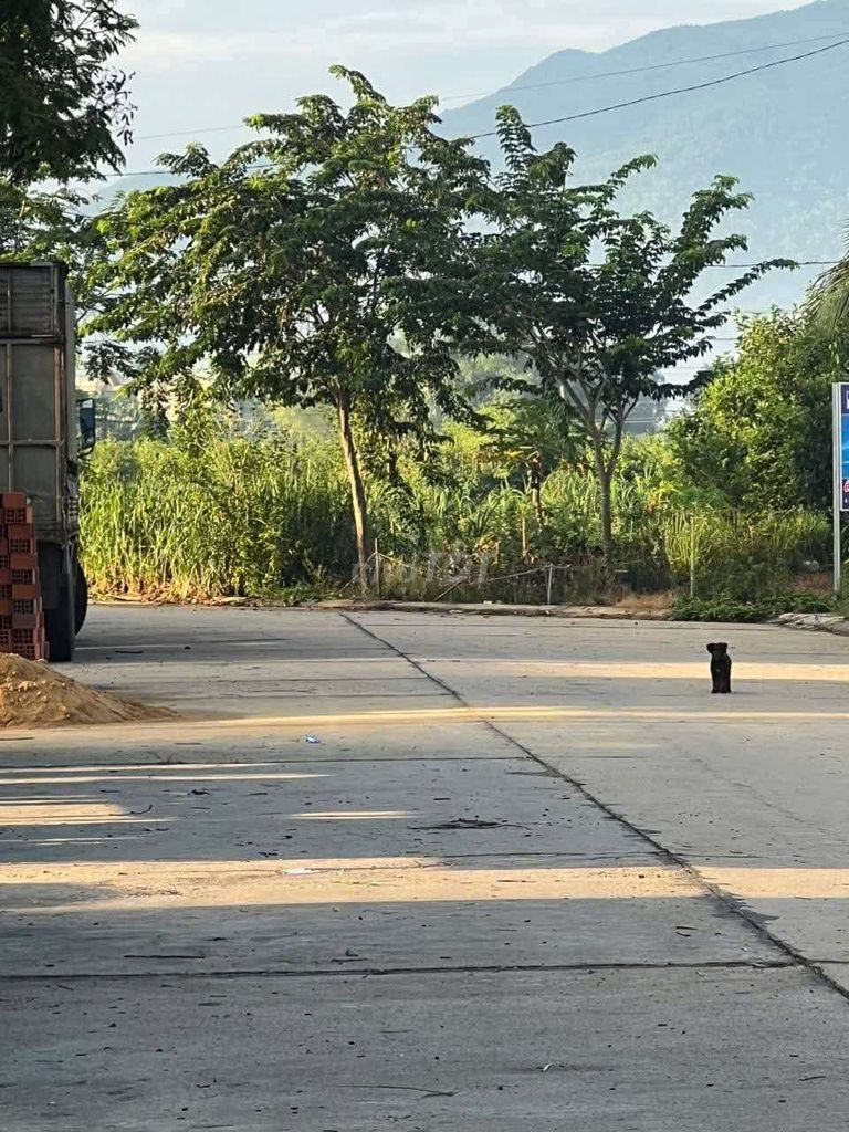 Bán đất Bán đất