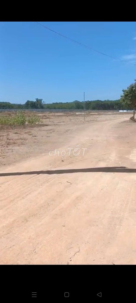 BÁN 5HA ĐẤT VƯỜN
