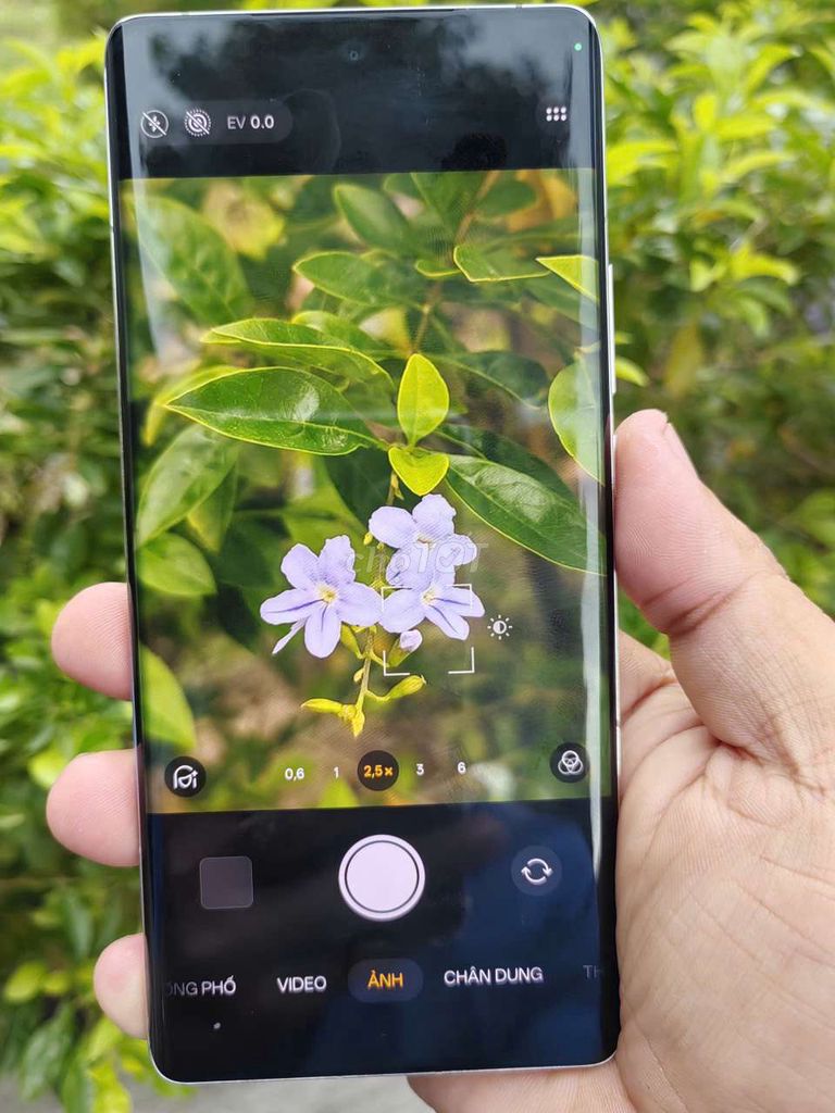 Realme GT 5 Pro 256GB Trắng Đã sử dụng. Mua bán Điện thoại tại Huyện Hóc Môn Tp Hồ Chí Minh được đăng bởi TDM hình 1