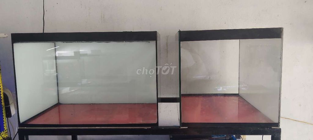 Hồ nuôi cá 6/4/4 mvt đẹppp. Mua bán Phụ kiện, Thức ăn, Dịch vụ tại Huyện Trảng Bàng Tây Ninh được đăng bởi CÁ CẢNH TB hình 3