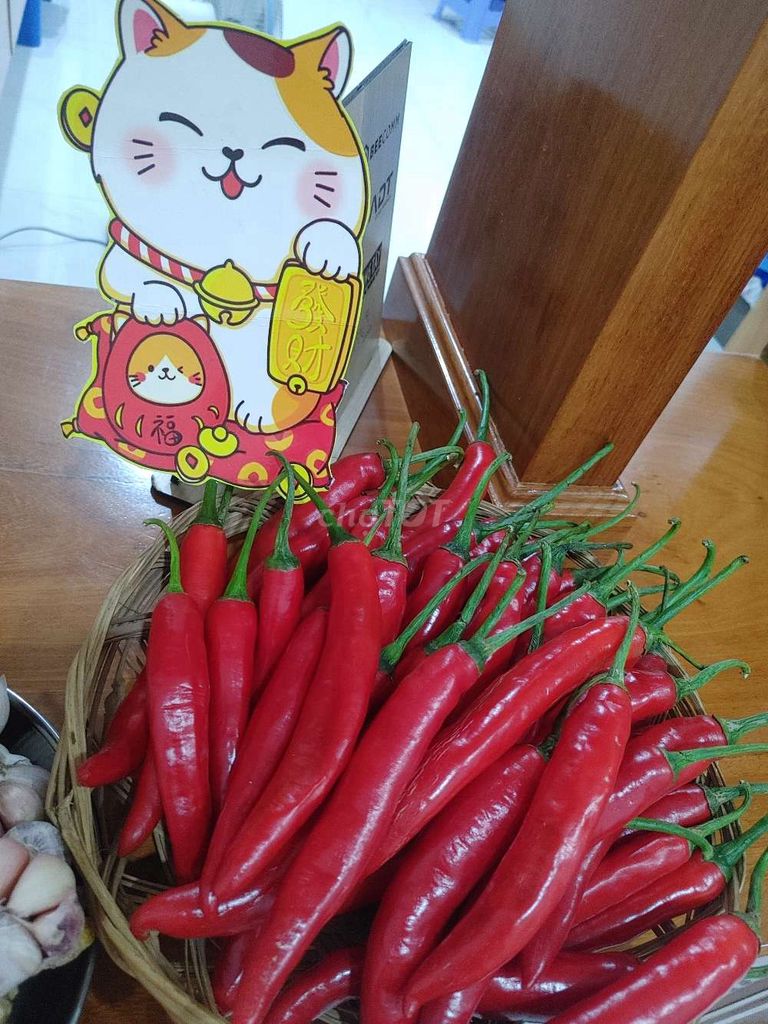 Kim chi cải thảo, dưa giá. Mua bán Đồ ăn, thực phẩm và các loại khác tại Quận 1 Tp Hồ Chí Minh được đăng bởi Dung hình 7