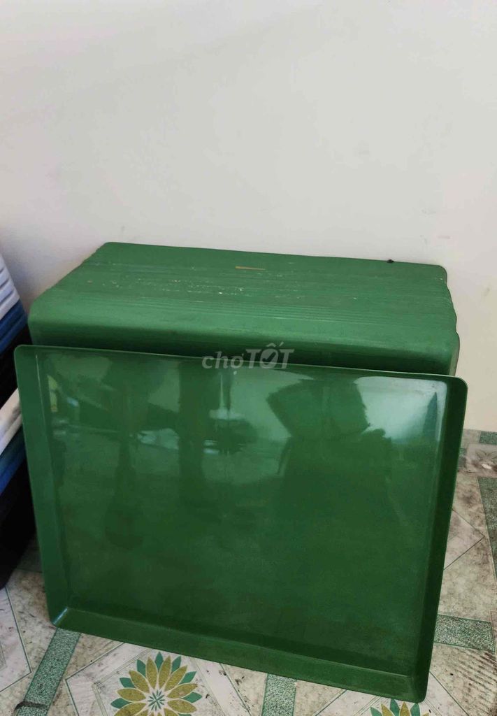 Khay hứng phân chim - 30 cái chỉ 250k. Mua bán Phụ kiện, Thức ăn, Dịch vụ tại Quận 5 Tp Hồ Chí Minh được đăng bởi chú Phú hình 1