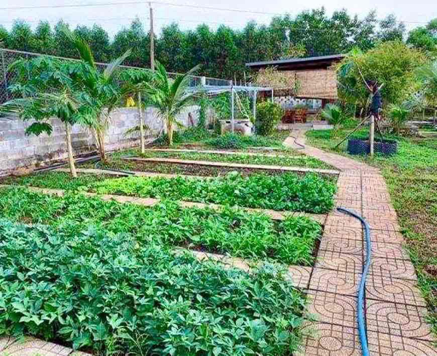 Bán Đất tặng vườn Rau sạch tại Bình Phước