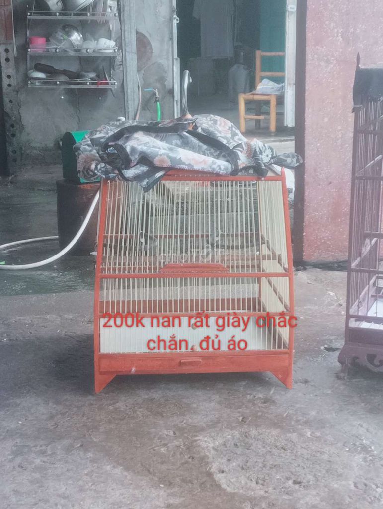 Lồng chim Gỗ Nâu đỏ. Mua bán Phụ kiện, Thức ăn, Dịch vụ tại Huyện Nam Trực Nam Định được đăng bởi Dien Pham hình 1
