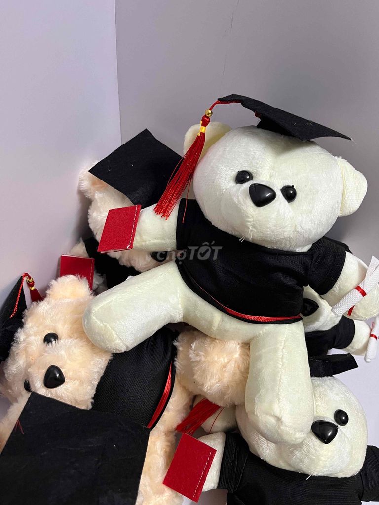 Gấu bông tốt nghiệp. Mua bán Sở thích khác tại Quận Cẩm Lệ Đà Nẵng được đăng bởi Tuấn hình 1