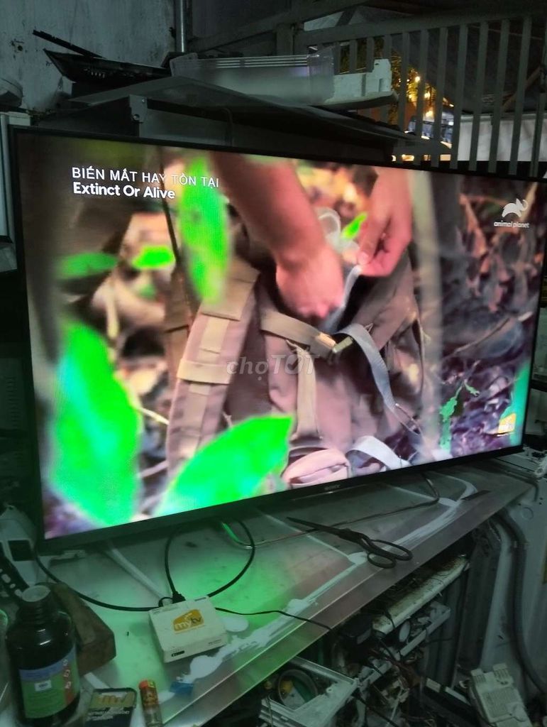 Tivi Sony 55w800B 55 inch. Mua bán Tivi, Âm thanh tại Thành phố Vũng Tàu Bà Rịa - Vũng Tàu được đăng bởi Minh Hà hình 1