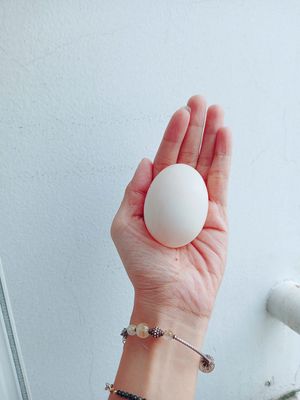 TRỨNG VỊT ĐỒNG. Mua bán Đồ ăn, thực phẩm và các loại khác tại Quận Bình Tân Tp Hồ Chí Minh được đăng bởi LÊ THỊ THÙY LINH