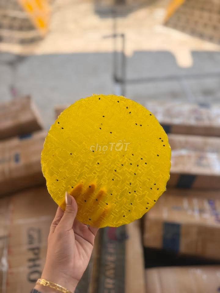 Vỏ bánh tráng nướng Đà Lạt. Mua bán Đồ ăn, thực phẩm và các loại khác tại Quận Gò Vấp Tp Hồ Chí Minh được đăng bởi Nguyễn Thảo Xuân hình 1