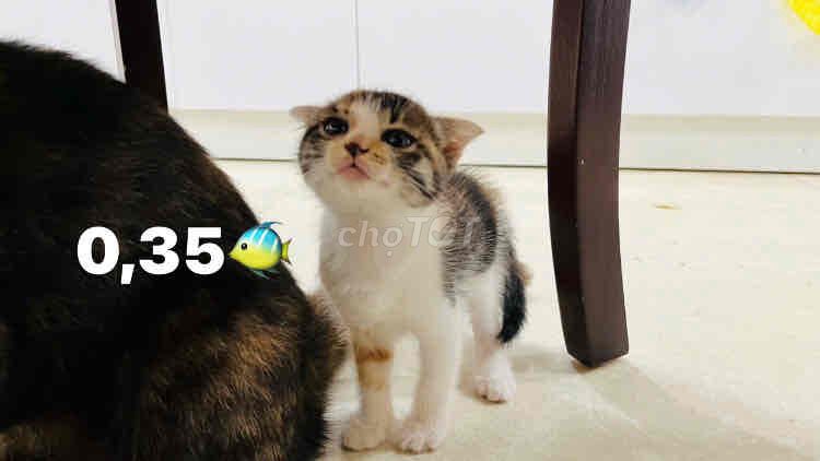 bé aln lai ( gái) cuốn người, ngoan😜😹