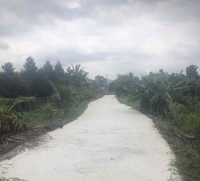 Đất Nền thổ cư đường oto Phường Tân Hội cách cầu nguyễn văn voi 300m. Mua bán đất tại Huyện Châu Thành Đồng Tháp được đăng bởi Huỳnh