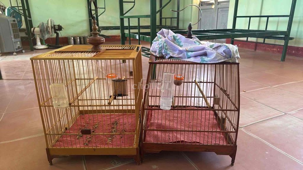Lồng chim gỗ tự nhiên. Mua bán Phụ kiện, Thức ăn, Dịch vụ tại Thành phố Cam Ranh Khánh Hòa được đăng bởi Nguyễn Văn Dũng hình 1