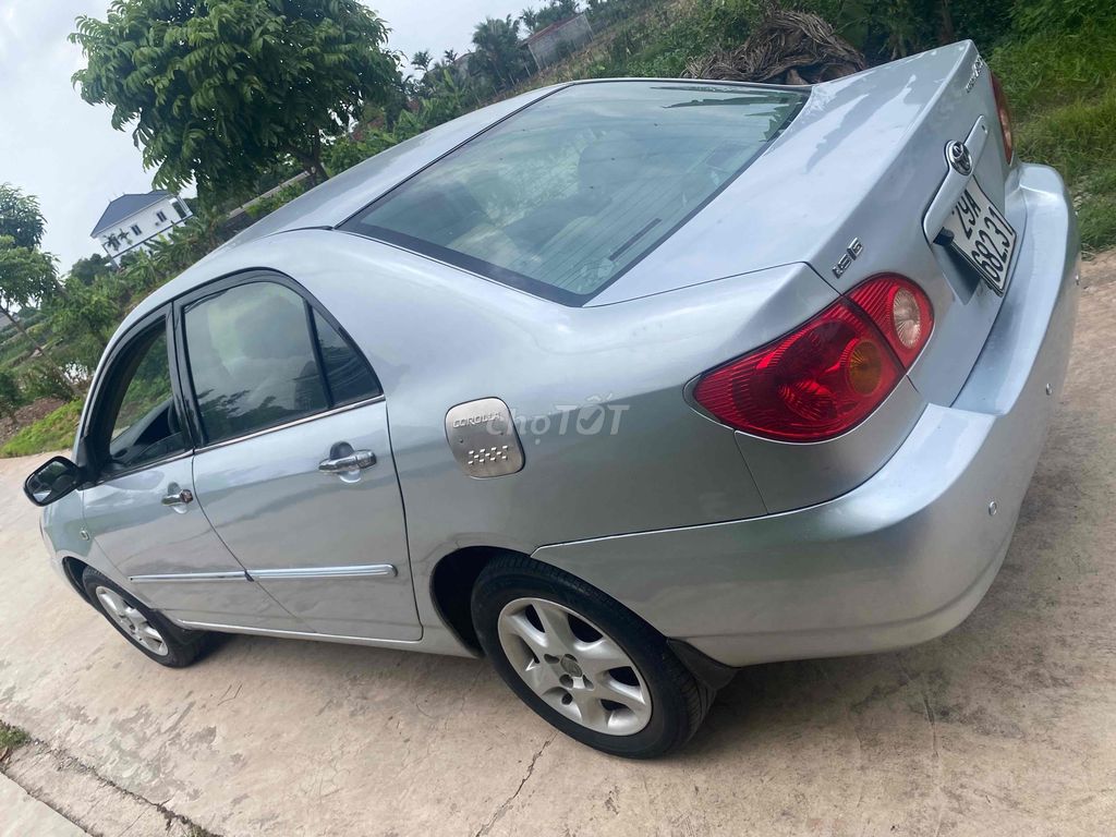 Ảnh số 7