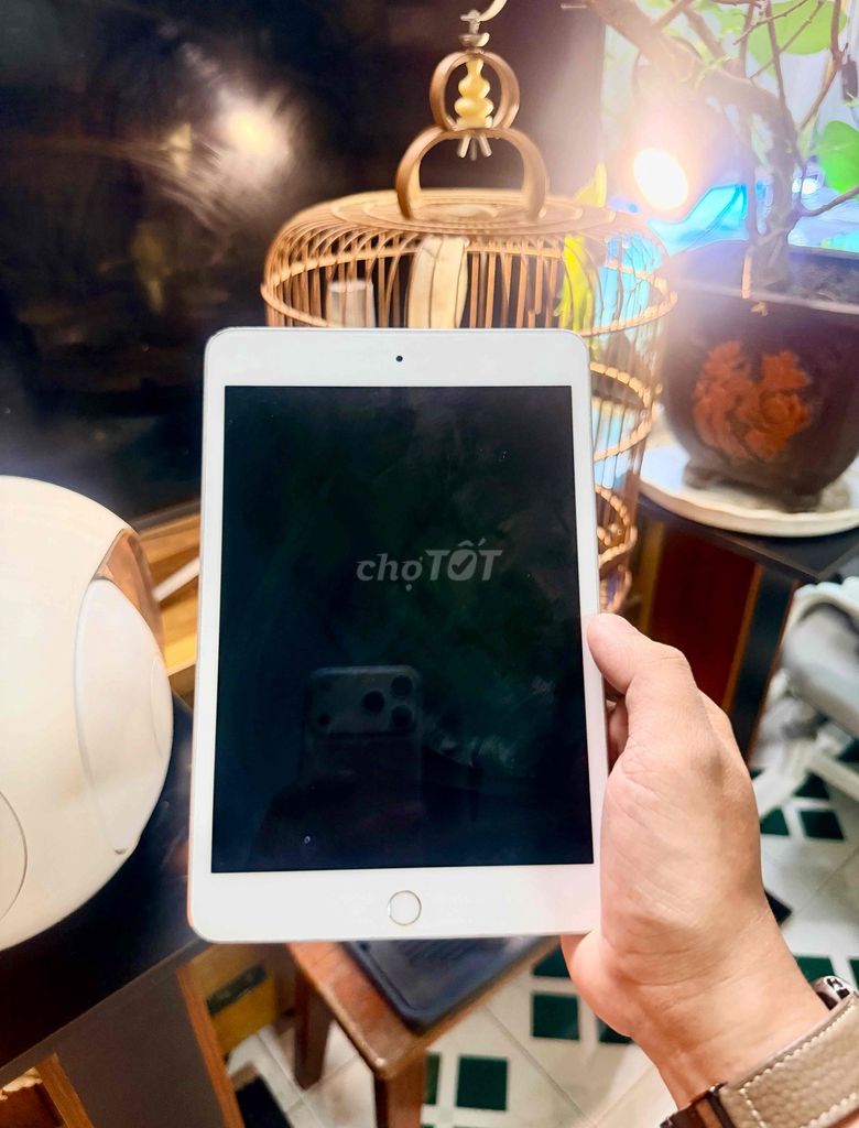 Apple iPad mini 5 64GB Trắng. Mua bán Máy tính bảng tại Thành phố Qui Nhơn Bình Định được đăng bởi HIếu Janpan hình 1