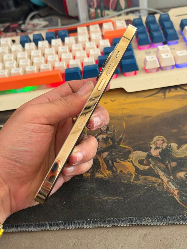 Apple iPhone 13 Pro Max 256GB Vàng. Mua bán Điện thoại tại Quận 1 Tp Hồ Chí Minh được đăng bởi Hội Đồ Điện Tử hình 1