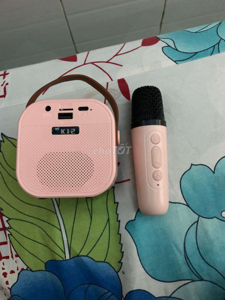 Loa karaoke K12 Hồng. Mua bán Tivi, Âm thanh tại Thành phố Bà Rịa Bà Rịa - Vũng Tàu được đăng bởi David Thai hình 1