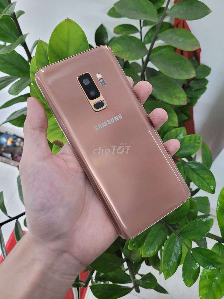 Samsung S9 Plus zin,đủ loại,màu,có shipcod,trả góp