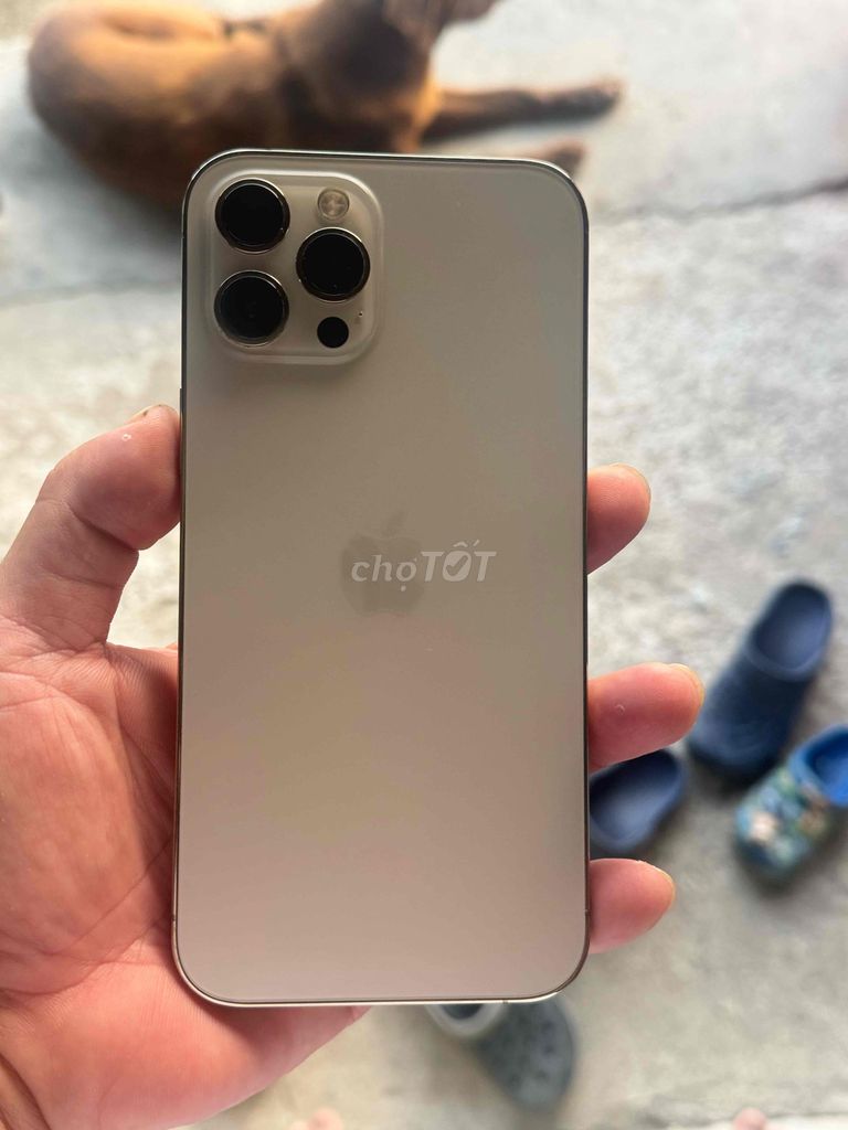 iPhone 12 Pro Max Vàng đồng. Mua bán Điện thoại tại Thị xã Tân Uyên Bình Dương được đăng bởi binhduonghelo hình 1
